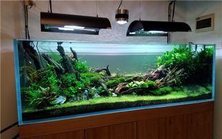 五行屬金的怎麼聚財,如何聚財（三）