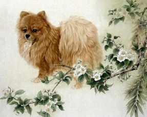 生肖狗屬金選什麼尾號號碼最好,手機號最旺財的尾數