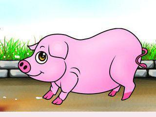 姓張缺金缺水的名字屬羊,羊年出生姓張男孩缺金又缺小小水起什麼名字呢?