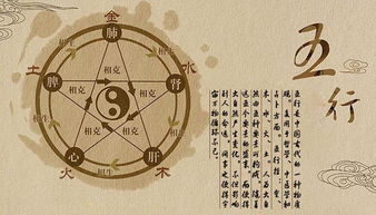 十一筆五行屬木水的字,十一畫屬木的字