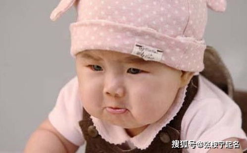 屬虎女孩帶火旁文雅的名字,女孩子帶火字旁的名字大全有什麼?