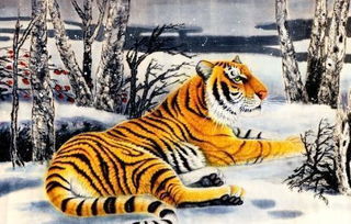 屬虎人家裡能放金蟾嗎,金蟾家中金蟾擺放家中對屬蛇的生肖有什麼暗示擺放是否對主人生肖有