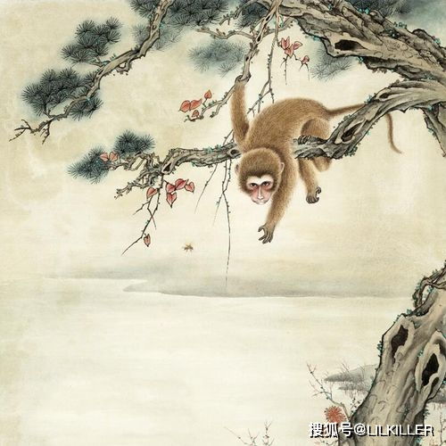 大澤土五行屬什麼,大澤土命是什麼意思