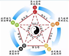 心屬火脾屬土相生的關係是什麼,五臟之間的相生關係是怎樣的呢?