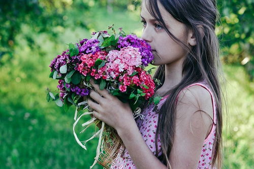 屬火缺木的女孩名字大全,缺火缺木女孩名字