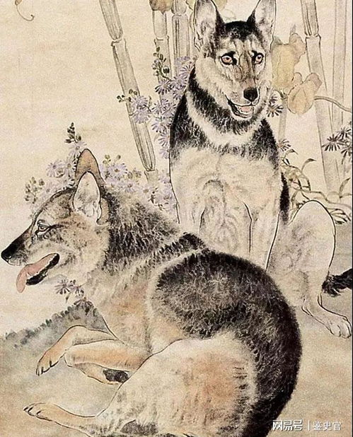 五行屬金能養貓嗎,五行屬金的可否養魚