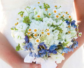 天運屬金什麼意思,天運五行屬金,可逢凶化吉是什麼意思