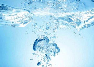 五行屬水最吉利的字女孩名字龍,女孩,屬龍,五行：水土水土土木木水