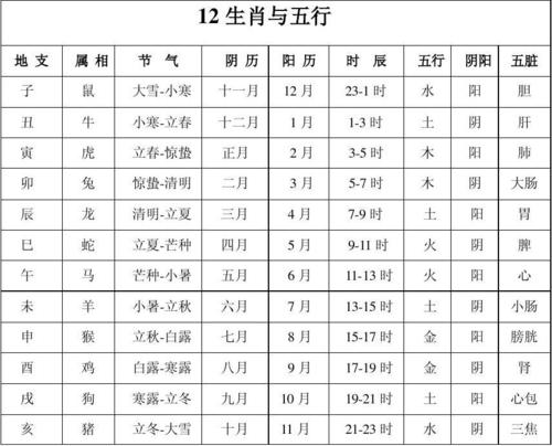 屬鼠金命宜選哪個樓層,屬鼠住幾層樓好?