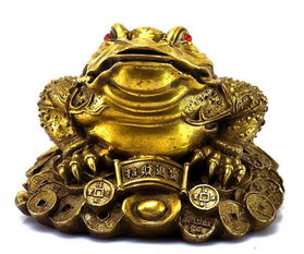 金蟾招財盆五行屬什麼,金蟾蓮花盆