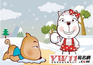 20226月虎娃五行屬啥,2022年是什麼命,虎年五行屬什麼?