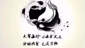 中醫是屬土還是屬水,中醫五行是指什麼?