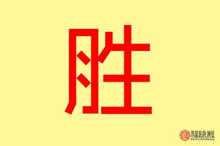 五行屬火又帶土金的字,公司五行帶土火金字的字有哪些