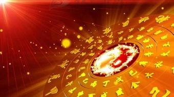 屬金八字的名字筆畫有,幫BB改名