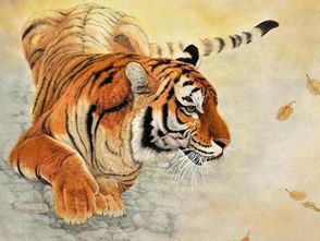 屬虎金虎跟爐中火相剋嗎,火虎與金虎相剋嗎?