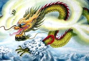 命里屬火人穿什麼顏色,天上火命的人穿什麼顏色的衣服好