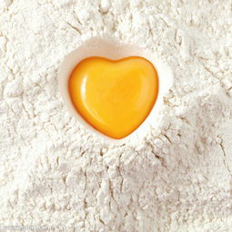 地龍蛋白生命五行肽,地龍蛋白的介紹