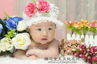 屬生肖水的起什麼名字最好,五行屬水寓意最好的字有哪些?