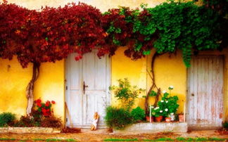 大門屬火住屬水的人好嗎,五行屬火的人住宅門不宜開向哪個方位