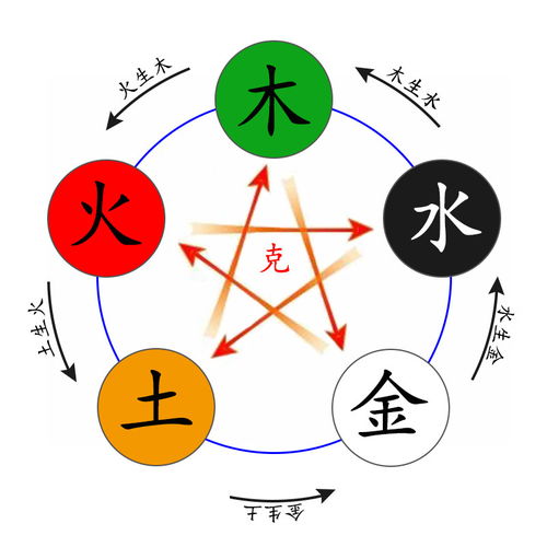 五行屬水叫睿洋可以嗎,田雨睿洋名字五行測試