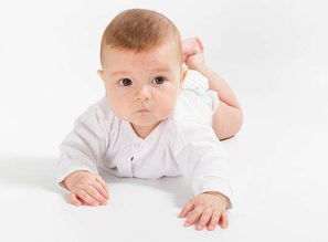 狗屬金火的男孩名字,請給我兒子起個帶金火的名字