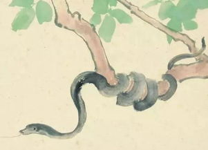 屬蛇未來走離火運,十二生肖哪一天出生最命苦,值得收藏