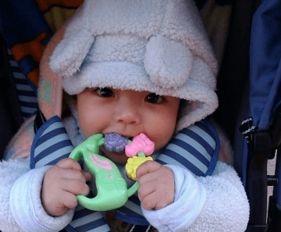 鼠寶寶起名五行屬火怎樣,五行缺火的屬鼠的男孩的乳名取什麼較好