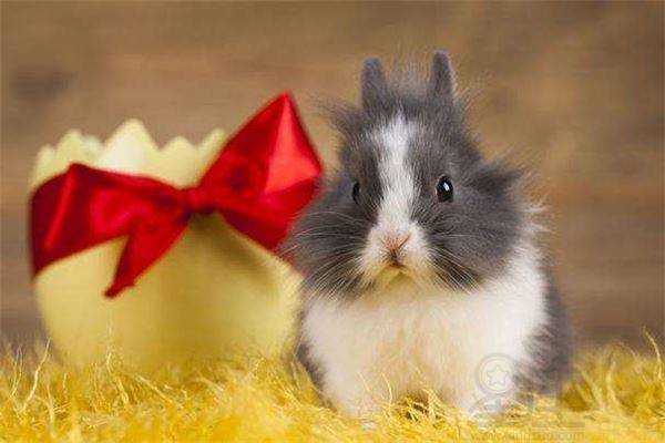 屬兔爐中火男和屬猴劍鋒金女,