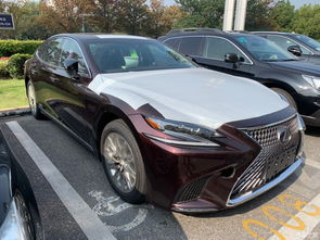 肺屬金火克金雷克薩斯,趙子譯五行含義