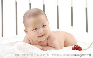 屬金豬的女孩名字大全,大家好幫忙給金豬女寶寶好取名,急!!!