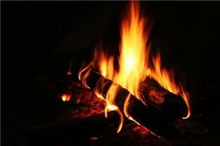 屬羊火命五行缺火,本命羊,路旁土,五行缺火,金旺土旺缺火,日主天干為金,生於冬季