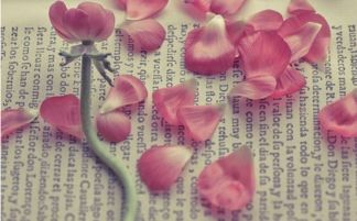 玫瑰金五行屬什麼,這個18KGP是屬於什麽金