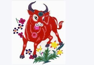屬牛的辛金日主適合穿紅色嗎,牛年可以穿紅色衣服嗎