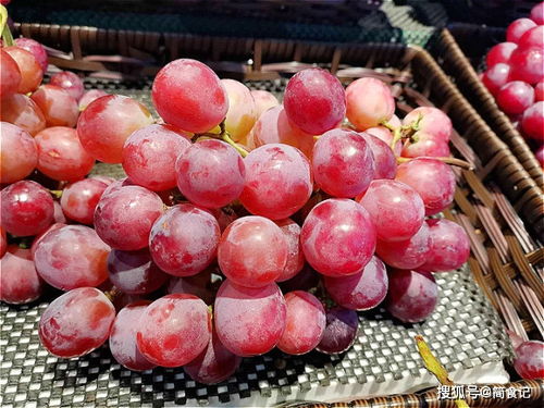 不知火屬涼性水果,不知火是哪種水果的學名?