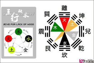 五行屬金的命理缺什麼,生辰八字看五行缺什麼我請大師幫忙看看我侄女的生辰八字五行缺什