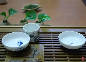 五行屬火喝什麼茶,內火重喝什麼茶比較好