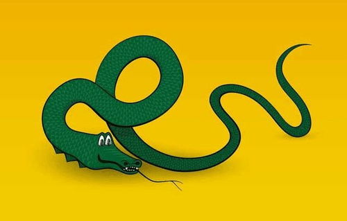 屬蛇的人能不能帶金豬,生肖屬豬女性2015年帶什麼好