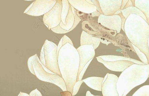 屬虎的金命還是水命,屬虎的人都是什麼命