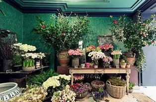 屬火的可以開花店嗎,如何開花店關於花店的一些注意要點以及一些花語花期和注意細節?