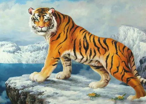 屬虎十月生的人適合帶金嗎,女,生肖屬虎,生日十月,男的屬龍,生日九月,買房幾樓好?愛問知