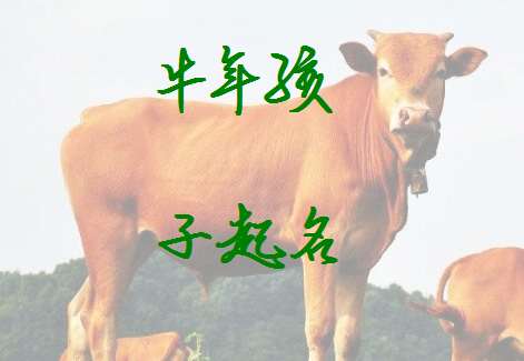 男孩取名帶火屬牛,寶寶屬牛,男孩,姓孫,命里缺火應取個什麼名字