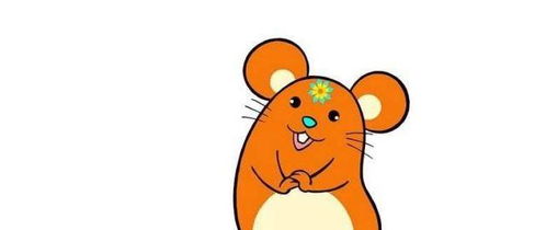 1984屬鼠金命戴什麼好,1984年臘月初二女孩五行屬金命佩戴什麼最好?