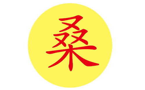 陳姓女孩名字五星屬金,姓陳女孩取什麼名最好聽