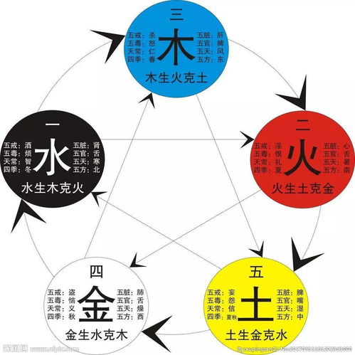 從五行中判斷財運,姓名怎樣判斷財運運氣