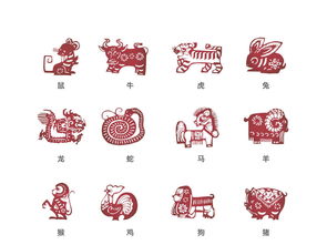 一五行屬金還是屬土,金五行屬什麼