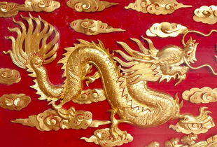 十二屬於屬相丙火屬什麼,甲乙丙丁戊己庚辛壬癸,在金木水火土各屬什麼?