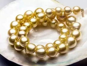 金珍珠在五行屬什麼,金珍珠是用來做什麼的啊珍珠是用來做什麼的啊?愛問知識