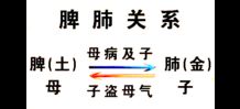 中醫理論中肺屬金嗎,中醫中,常用金 木 水 火 土五行代表五臟