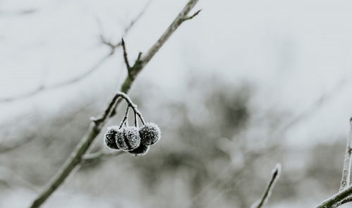 一滴水也不外漏屬什麼生肖,滴水不漏指哪個生肖?