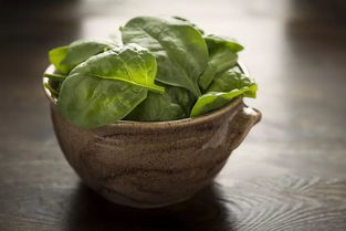 牛奶是五行屬金的食物嗎,怎樣根據五行補充營養?